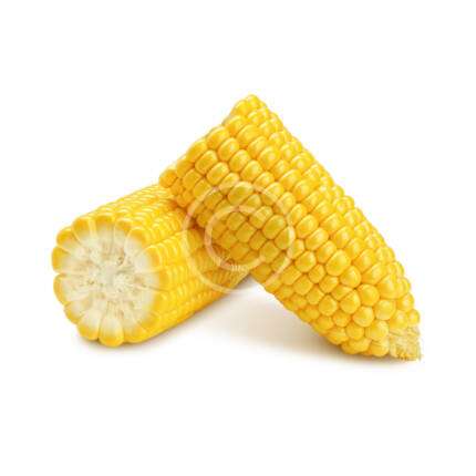 Sweet Corn