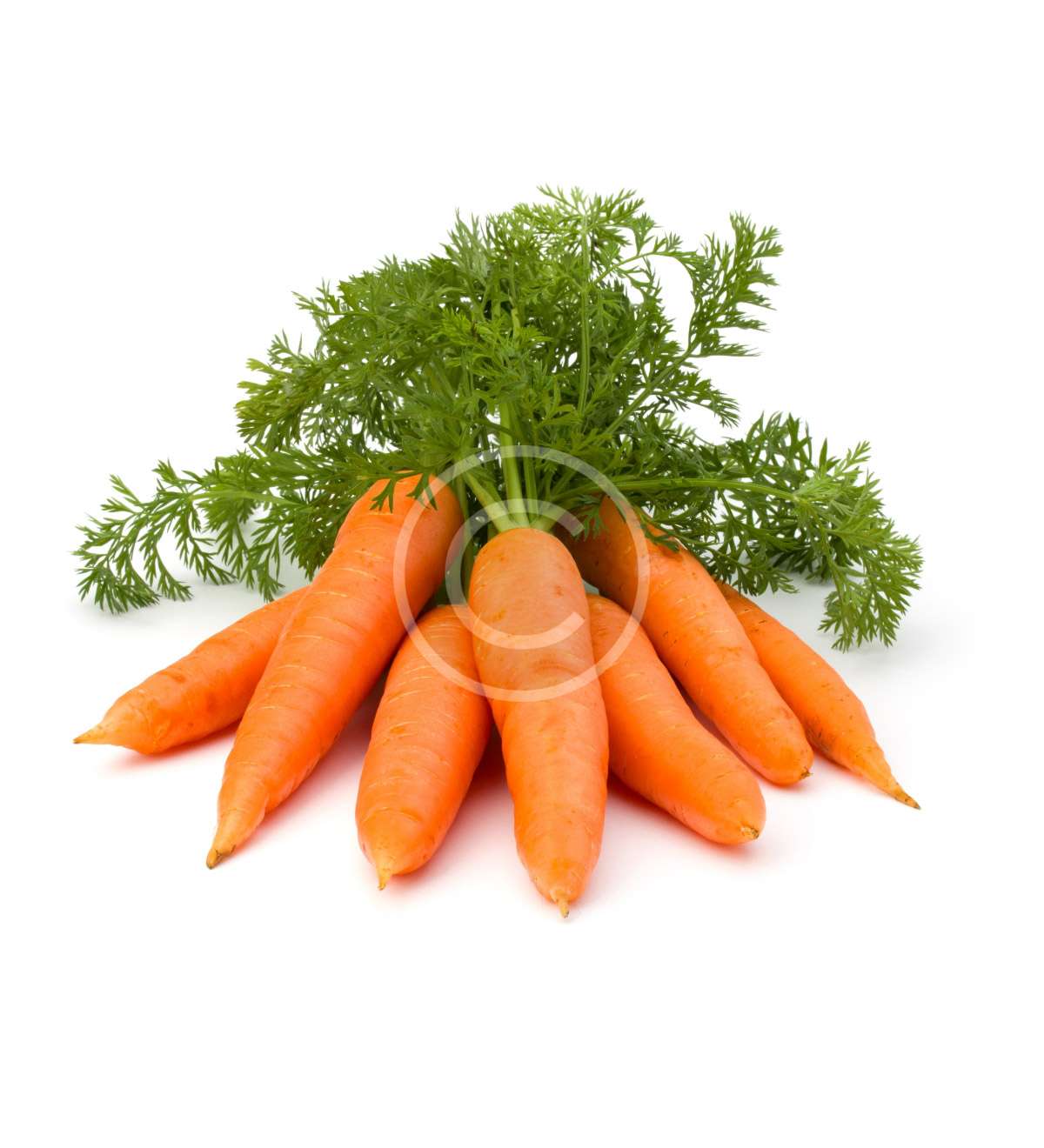 Red Onion – Image 2