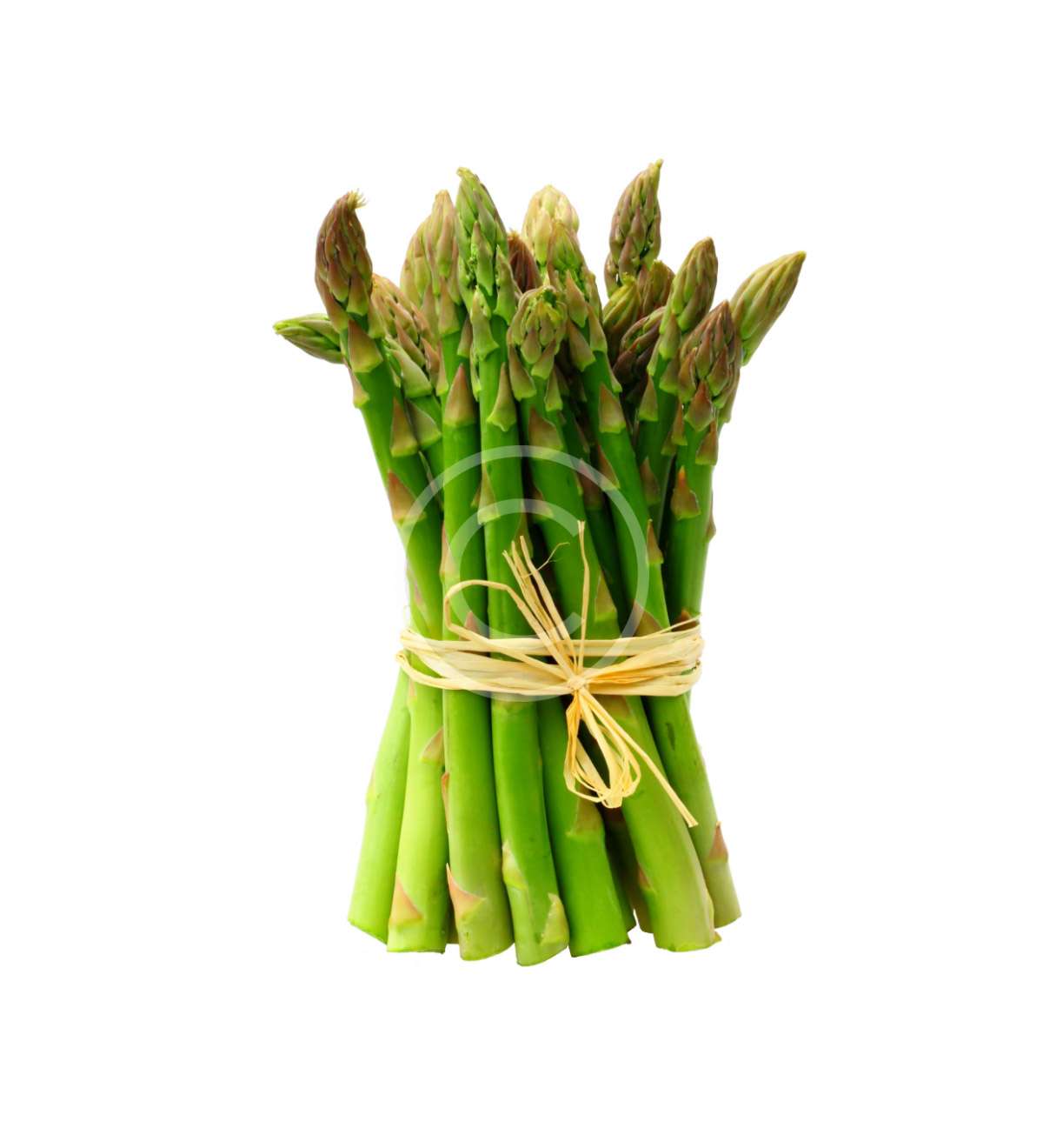 Red Onion – Image 3